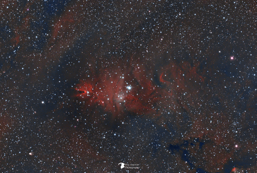 NGC2264 Nébuleuse du Cône