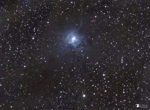 NGC7023 Nébuleuse de l'Iris