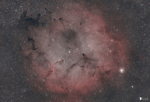 IC1396  Nébuleuse de la Trompe d'éléphant